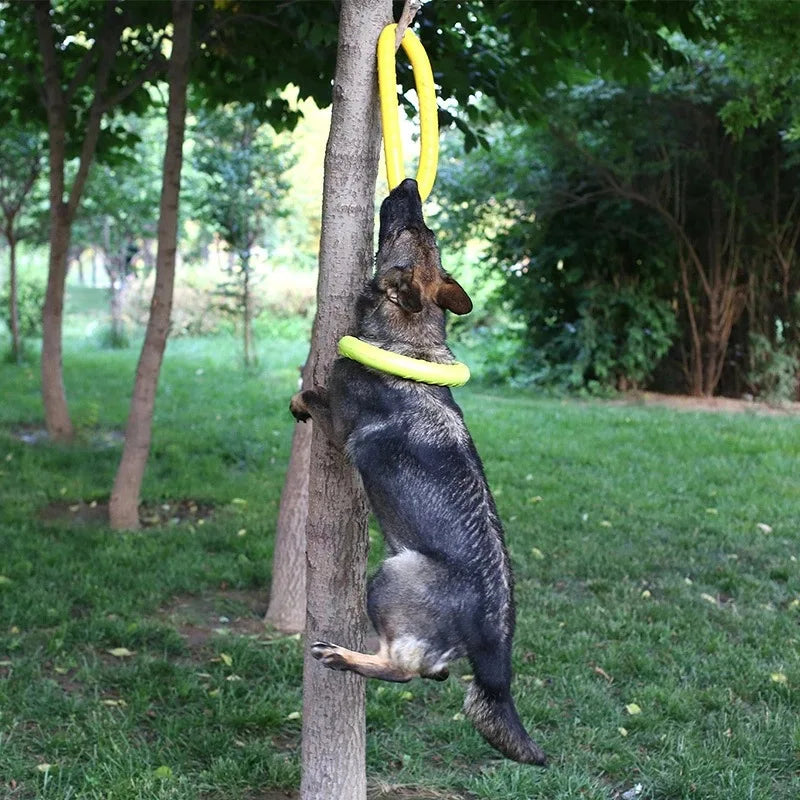 Dog Toys for Big Dogs