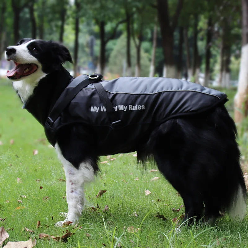 Waterproof Large Dog Clothes