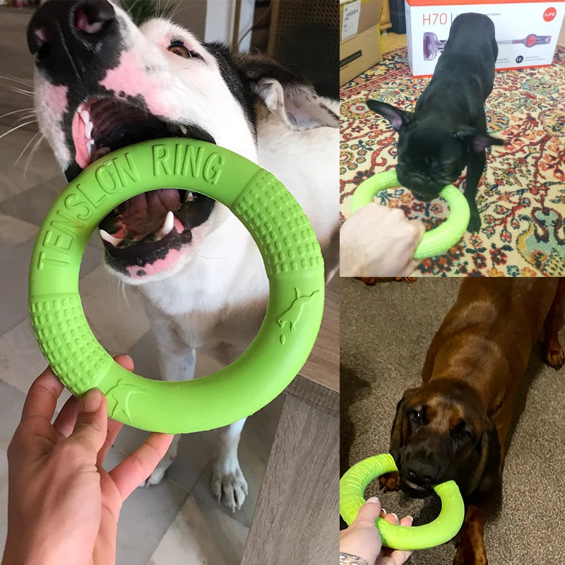 Dog Toys for Big Dogs