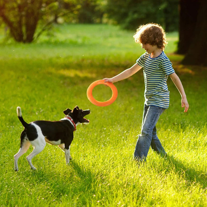 Dog Toys for Big Dogs