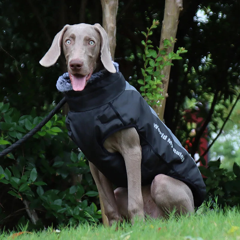 Waterproof Large Dog Clothes