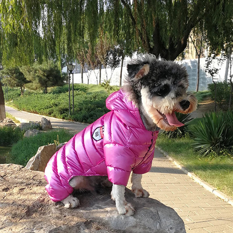 Winter Waterproof Dog Clothes