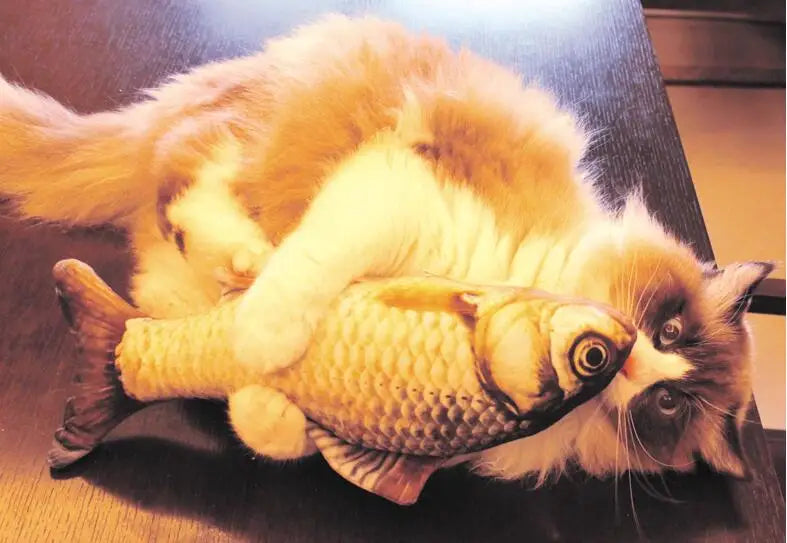 Cat Favor Fish Toy