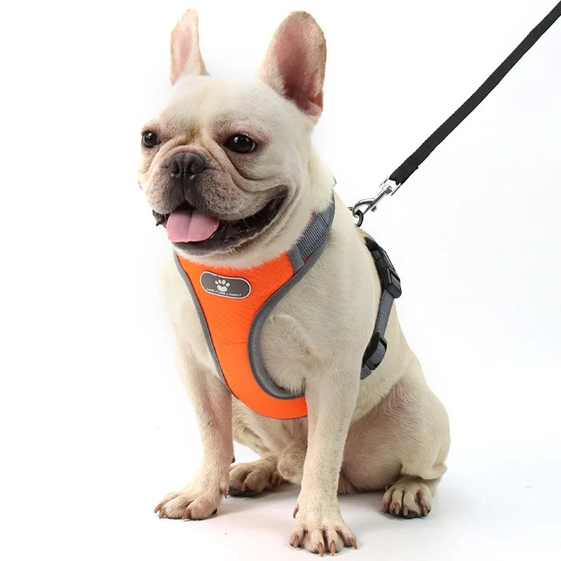 Medium Large Dog Harness