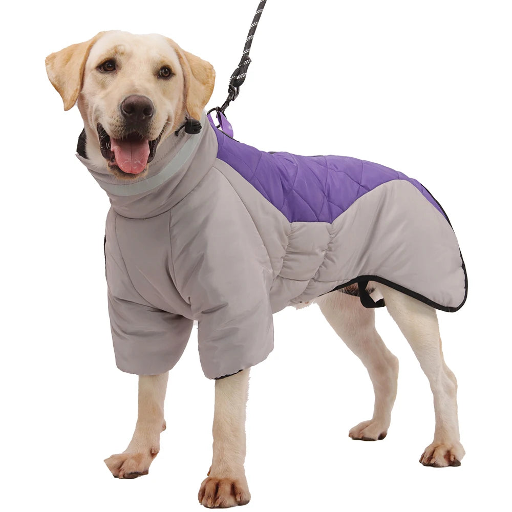 Big Dog Jacket Winter