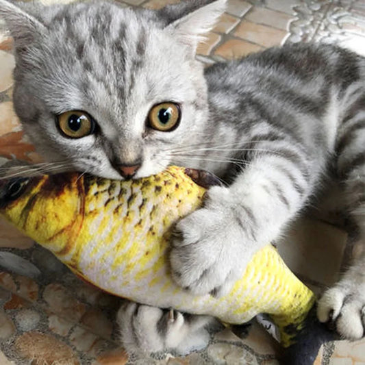 Cat Favor Fish Toy