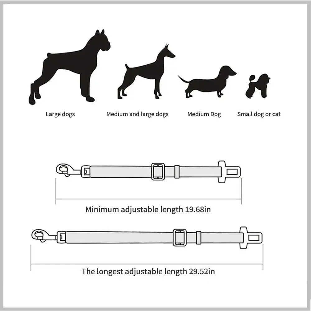 Cintura di sicurezza per animali domestici