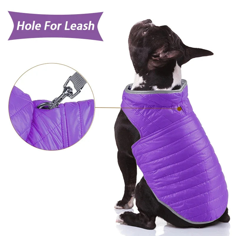 Reversible Small Dog Down Jacket Dual Colors